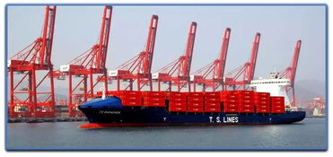 德翔海运计划订造4艘集装箱船