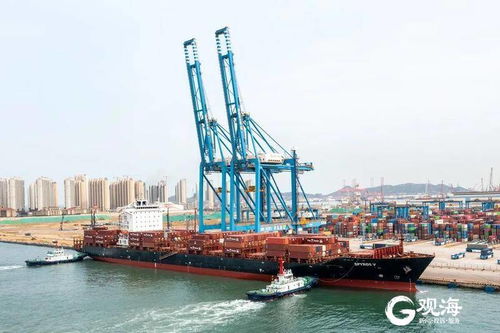 山东港口青岛港开通地中海新航线,为腹地内产品出口提供点对点快航服务